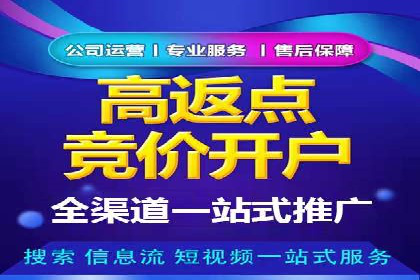 科技公司SEM关键词营销战略及实施效果