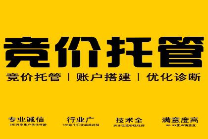 案例解读：SEM推广优化实战要点
